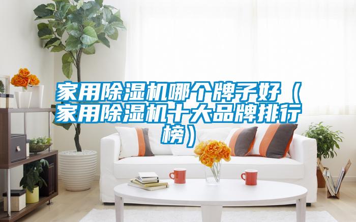 家用除濕機(jī)哪個(gè)牌子好(家用除濕機(jī)十大品牌排行榜)