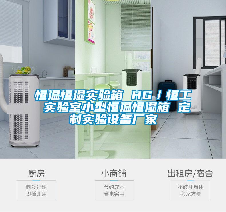 恒溫恒濕實驗箱 HG／恒工 實驗室小型恒溫恒濕箱 定制實驗設(shè)備廠家