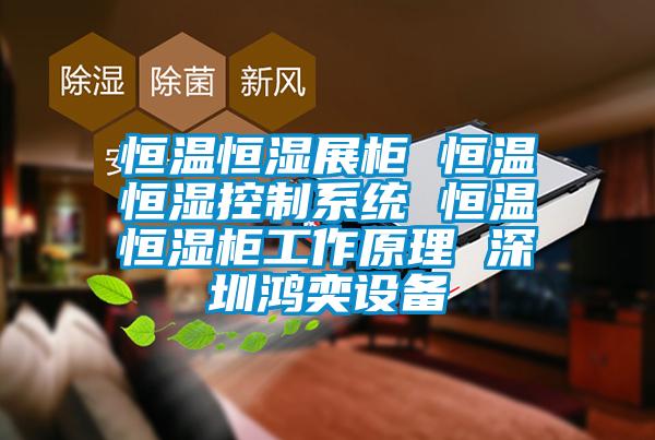 恒溫恒濕展柜 恒溫恒濕控制系統 恒溫恒濕柜工作原理 深圳鴻奕設備