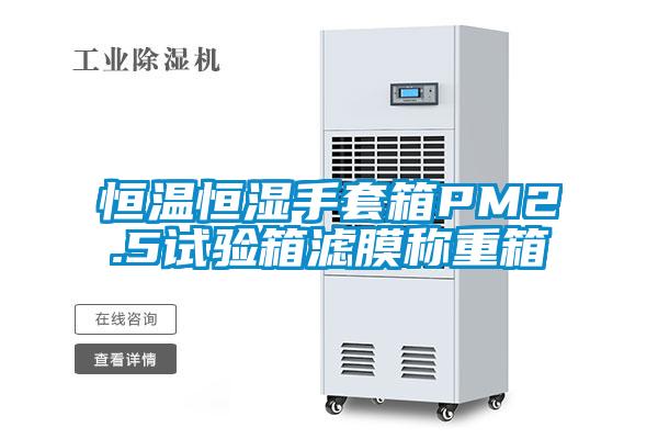 恒溫恒濕手套箱PM2.5試驗箱濾膜稱重箱