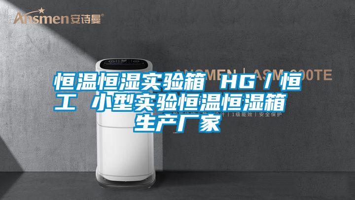 恒溫恒濕實驗箱 HG／恒工 小型實驗恒溫恒濕箱 生產(chǎn)廠家
