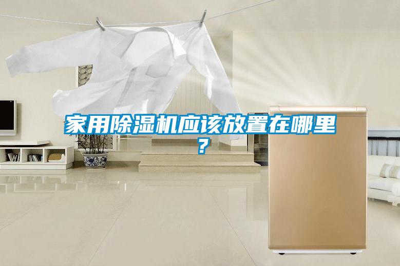 家用除濕機應該放置在哪里？