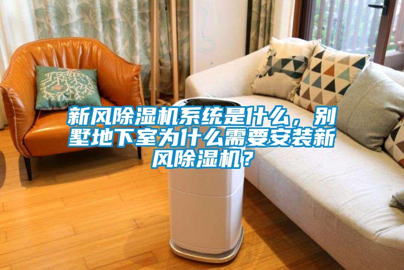 新風(fēng)除濕機系統(tǒng)是什么，別墅地下室為什么需要安裝新風(fēng)除濕機？