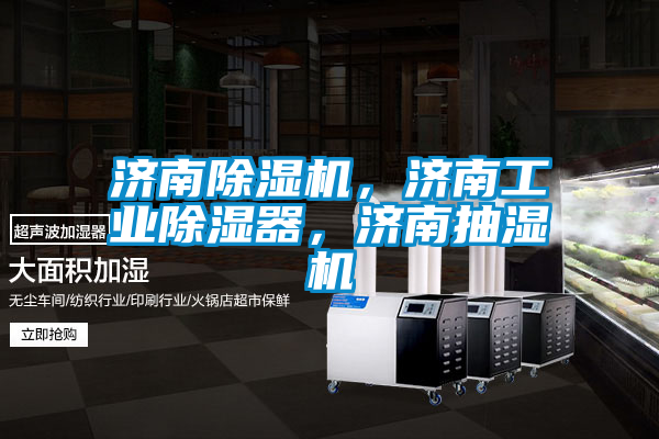 濟南除濕機，濟南工業(yè)除濕器，濟南抽濕機