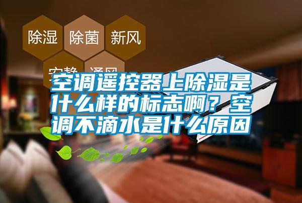 空調遙控器上除濕是什么樣的標志啊？空調不滴水是什么原因