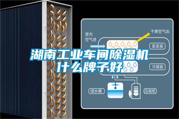 湖南工業(yè)車間除濕機什么牌子好