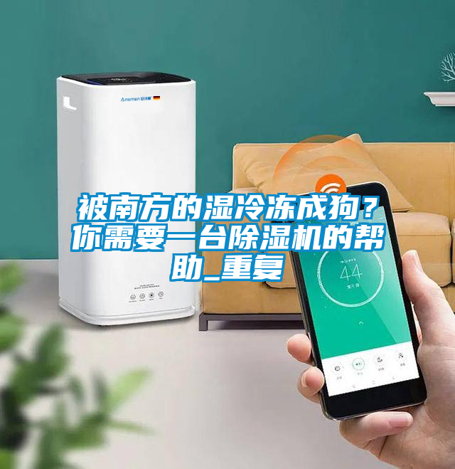被南方的濕冷凍成狗？你需要一臺除濕機的幫助_重復