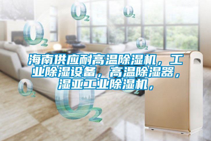 海南供應耐高溫除濕機，工業除濕設備，高溫除濕器，濕亞工業除濕機，