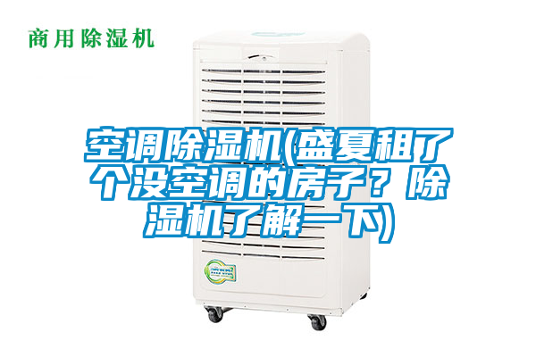 空調除濕機(盛夏租了個沒空調的房子？除濕機了解一下)