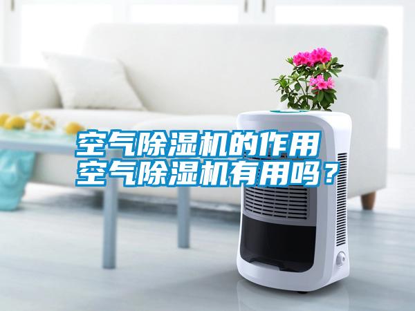 空氣除濕機(jī)的作用 空氣除濕機(jī)有用嗎？