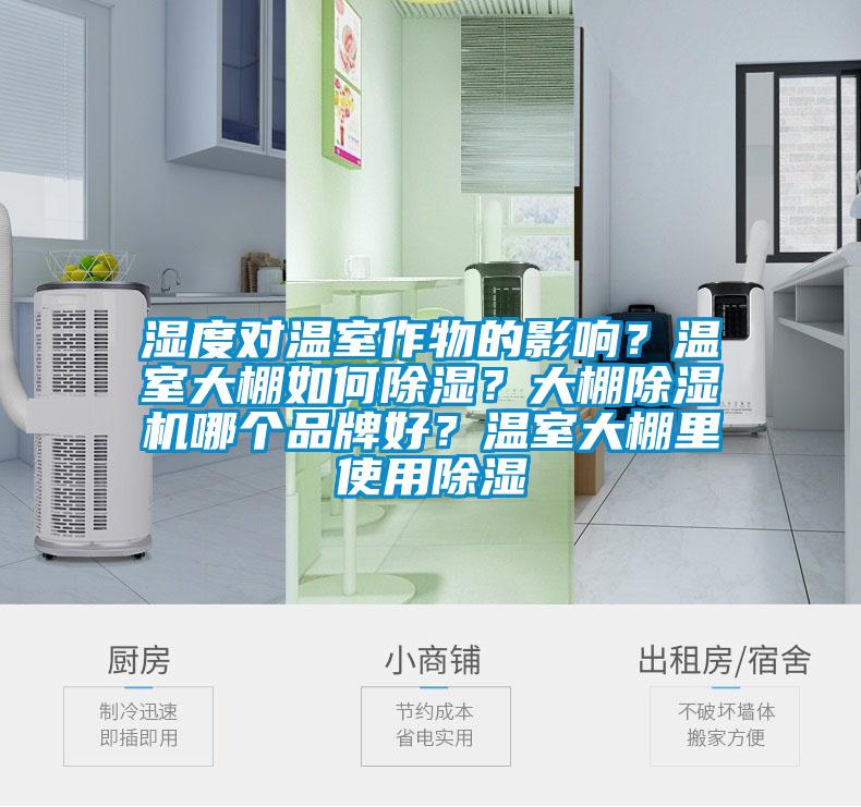 濕度對溫室作物的影響？溫室大棚如何除濕？大棚除濕機哪個品牌好？溫室大棚里使用除濕