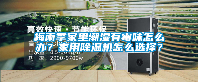 梅雨季家里潮濕有霉味怎么辦？家用除濕機怎么選擇？