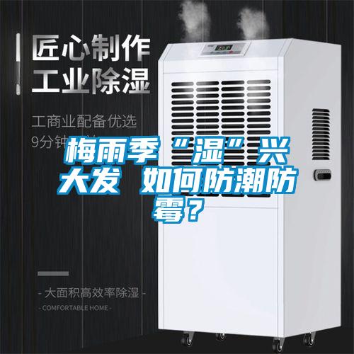 梅雨季“濕”興大發 如何防潮防霉？