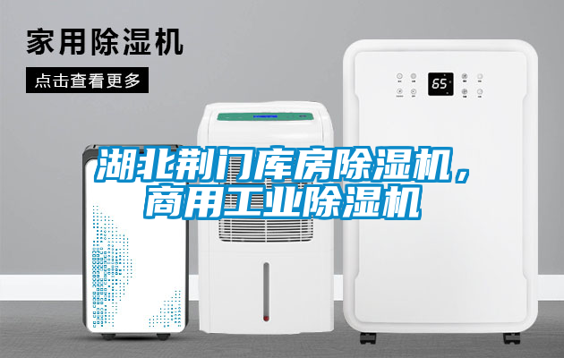 湖北荊門庫房除濕機，商用工業除濕機