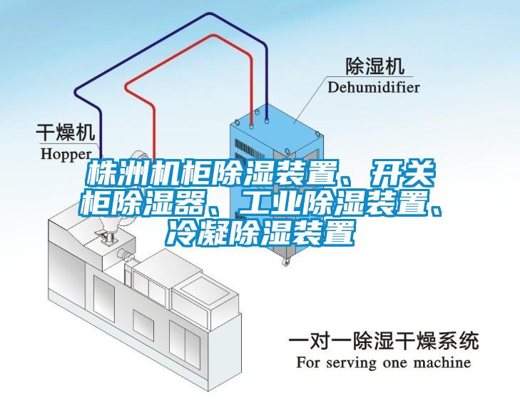 株洲機(jī)柜除濕裝置、開關(guān)柜除濕器、工業(yè)除濕裝置、冷凝除濕裝置