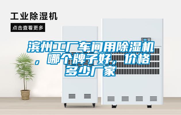 濱州工廠車間用除濕機，哪個牌子好，價格多少廠家