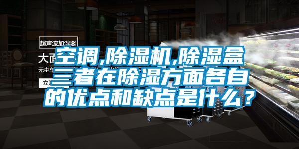 空調(diào),除濕機(jī),除濕盒三者在除濕方面各自的優(yōu)點(diǎn)和缺點(diǎn)是什么？