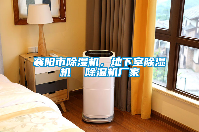 襄陽(yáng)市除濕機(jī)，地下室除濕機(jī)  除濕機(jī)廠家