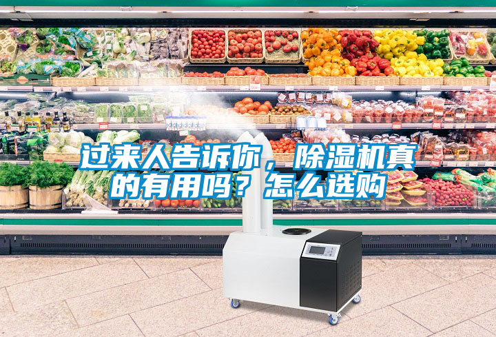 過來人告訴你，除濕機(jī)真的有用嗎？怎么選購