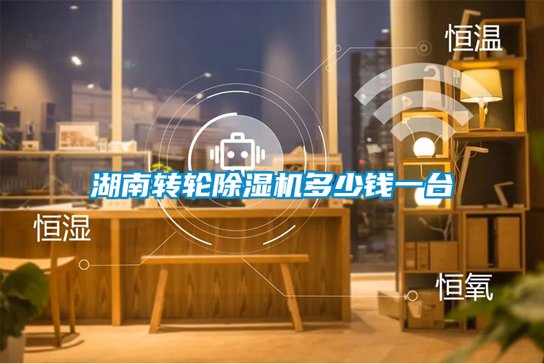 湖南轉(zhuǎn)輪除濕機多少錢一臺