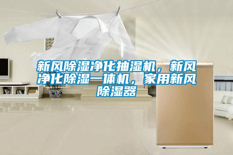 新風(fēng)除濕凈化抽濕機(jī)，新風(fēng)凈化除濕一體機(jī)，家用新風(fēng)除濕器