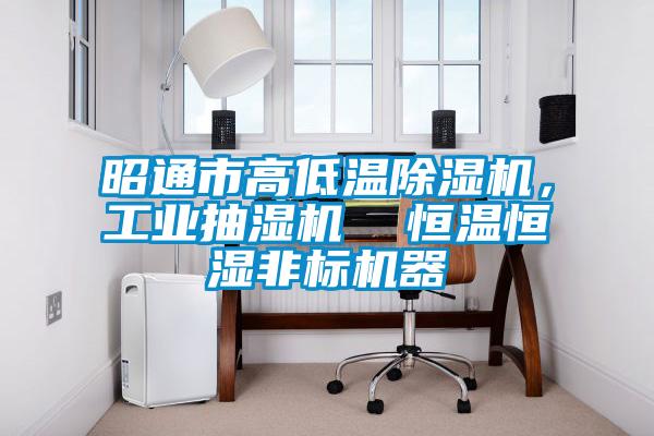 昭通市高低溫除濕機(jī)，工業(yè)抽濕機(jī)  恒溫恒濕非標(biāo)機(jī)器
