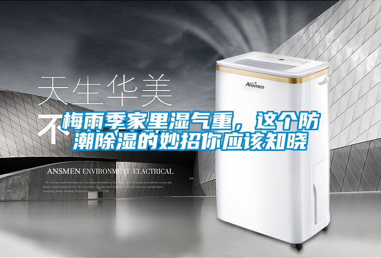 梅雨季家里濕氣重，這個防潮除濕的妙招你應該知曉