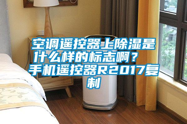 空調遙控器上除濕是什么樣的標志啊？ 手機遙控器R2017復制