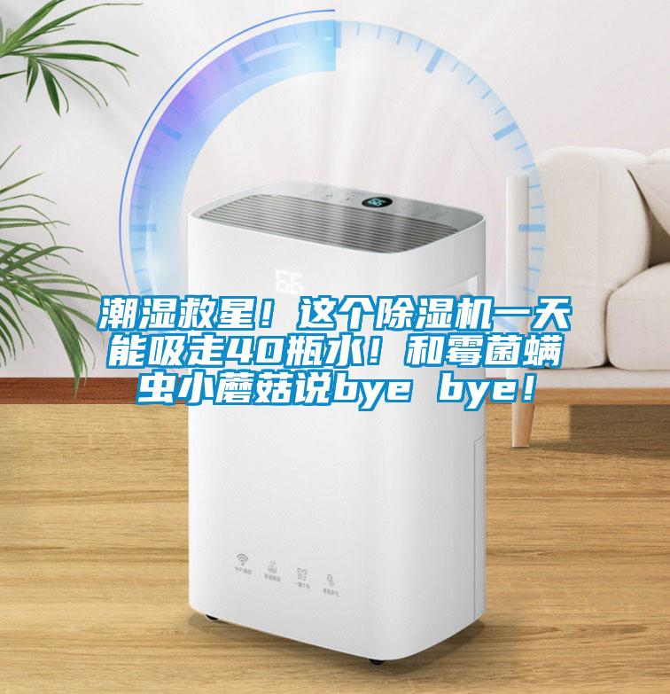 潮濕救星！這個除濕機一天能吸走40瓶水！和霉菌螨蟲小蘑菇說bye bye！