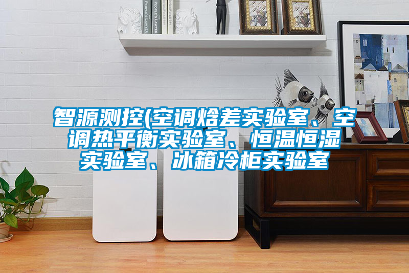 智源測控(空調(diào)焓差實驗室、空調(diào)熱平衡實驗室、恒溫恒濕實驗室、冰箱冷柜實驗室