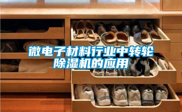 微電子材料行業中轉輪除濕機的應用
