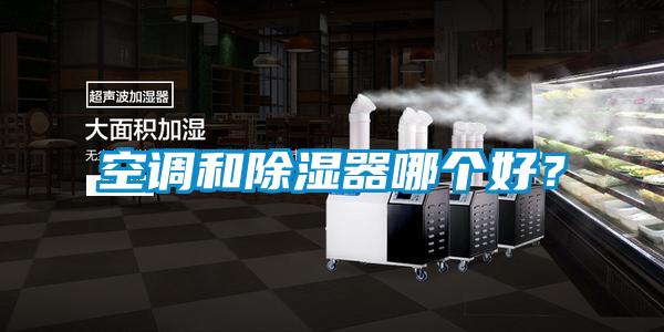 空調和除濕器哪個好？
