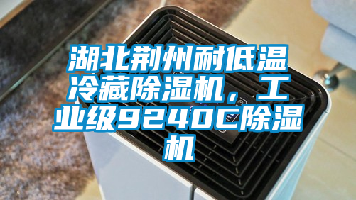湖北荊州耐低溫冷藏除濕機，工業級9240C除濕機