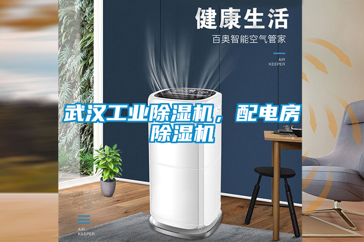 武漢工業除濕機，配電房除濕機