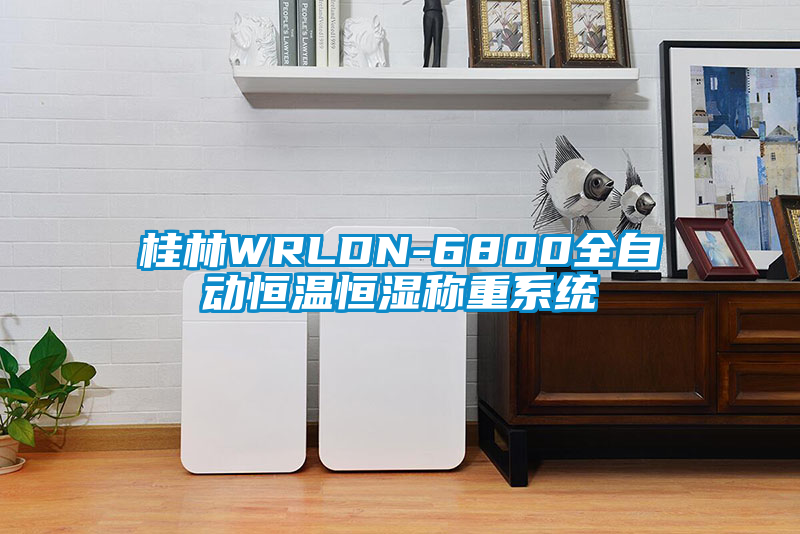 桂林WRLDN-6800全自動(dòng)恒溫恒濕稱重系統(tǒng)