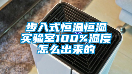 步入式恒溫恒濕實(shí)驗(yàn)室100%濕度怎么出來(lái)的