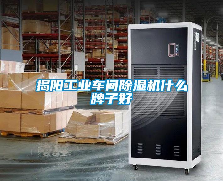揭陽(yáng)工業(yè)車(chē)間除濕機(jī)什么牌子好