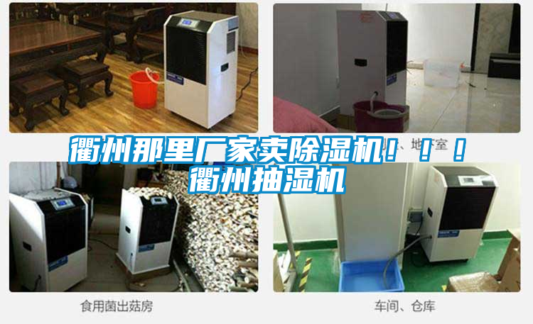 衢州那里廠家賣除濕機?。。♂橹莩闈駲C