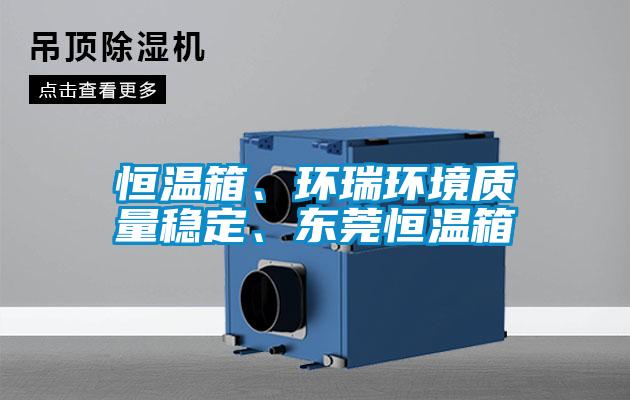 恒溫箱、環瑞環境質量穩定、東莞恒溫箱