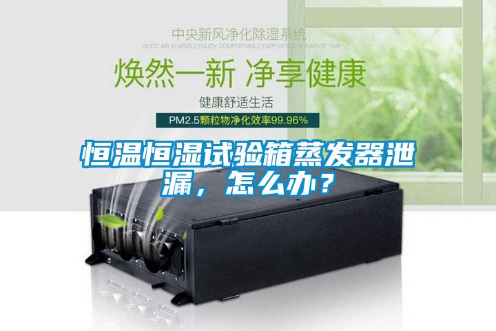 恒溫恒濕試驗箱蒸發(fā)器泄漏，怎么辦？
