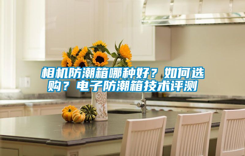 相機防潮箱哪種好？如何選購？電子防潮箱技術評測