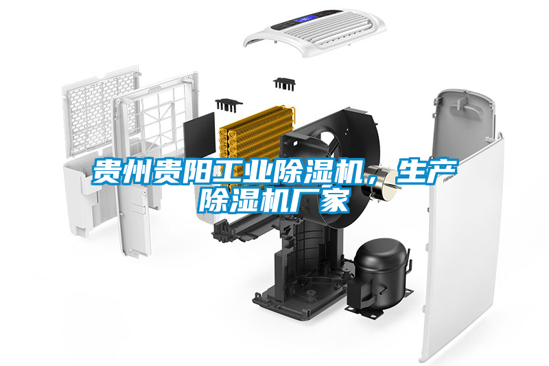 貴州貴陽(yáng)工業(yè)除濕機(jī)，生產(chǎn)除濕機(jī)廠家