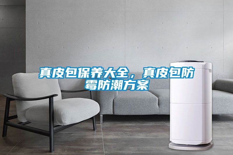 真皮包保養大全，真皮包防霉防潮方案