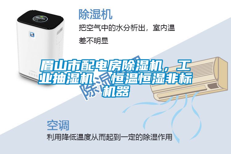 眉山市配電房除濕機，工業抽濕機  恒溫恒濕非標機器