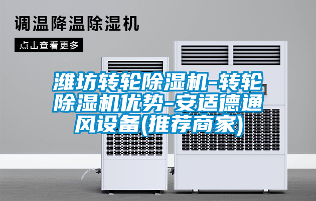 濰坊轉(zhuǎn)輪除濕機-轉(zhuǎn)輪除濕機優(yōu)勢-安適德通風(fēng)設(shè)備(推薦商家)