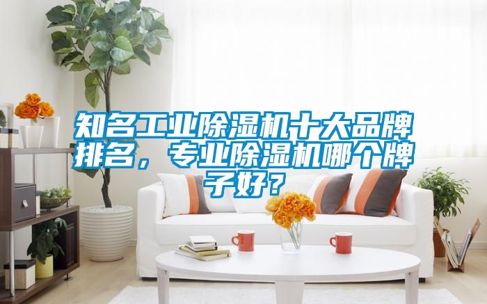 知名工業(yè)除濕機(jī)十大品牌排名，專業(yè)除濕機(jī)哪個牌子好？