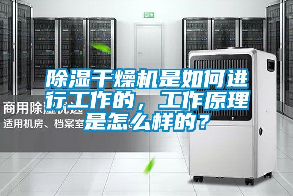 除濕干燥機(jī)是如何進(jìn)行工作的，工作原理是怎么樣的？