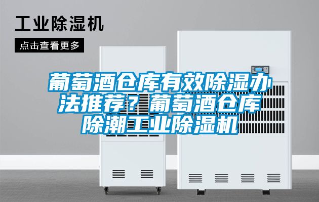 葡萄酒倉庫有效除濕辦法推薦？葡萄酒倉庫除潮工業除濕機