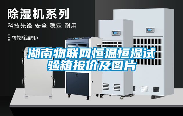湖南物聯(lián)網(wǎng)恒溫恒濕試驗(yàn)箱報價及圖片