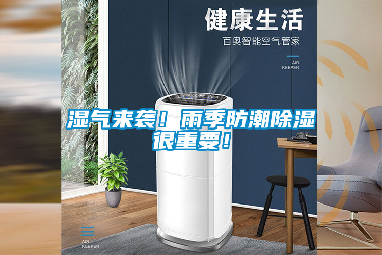 濕氣來襲！雨季防潮除濕很重要！